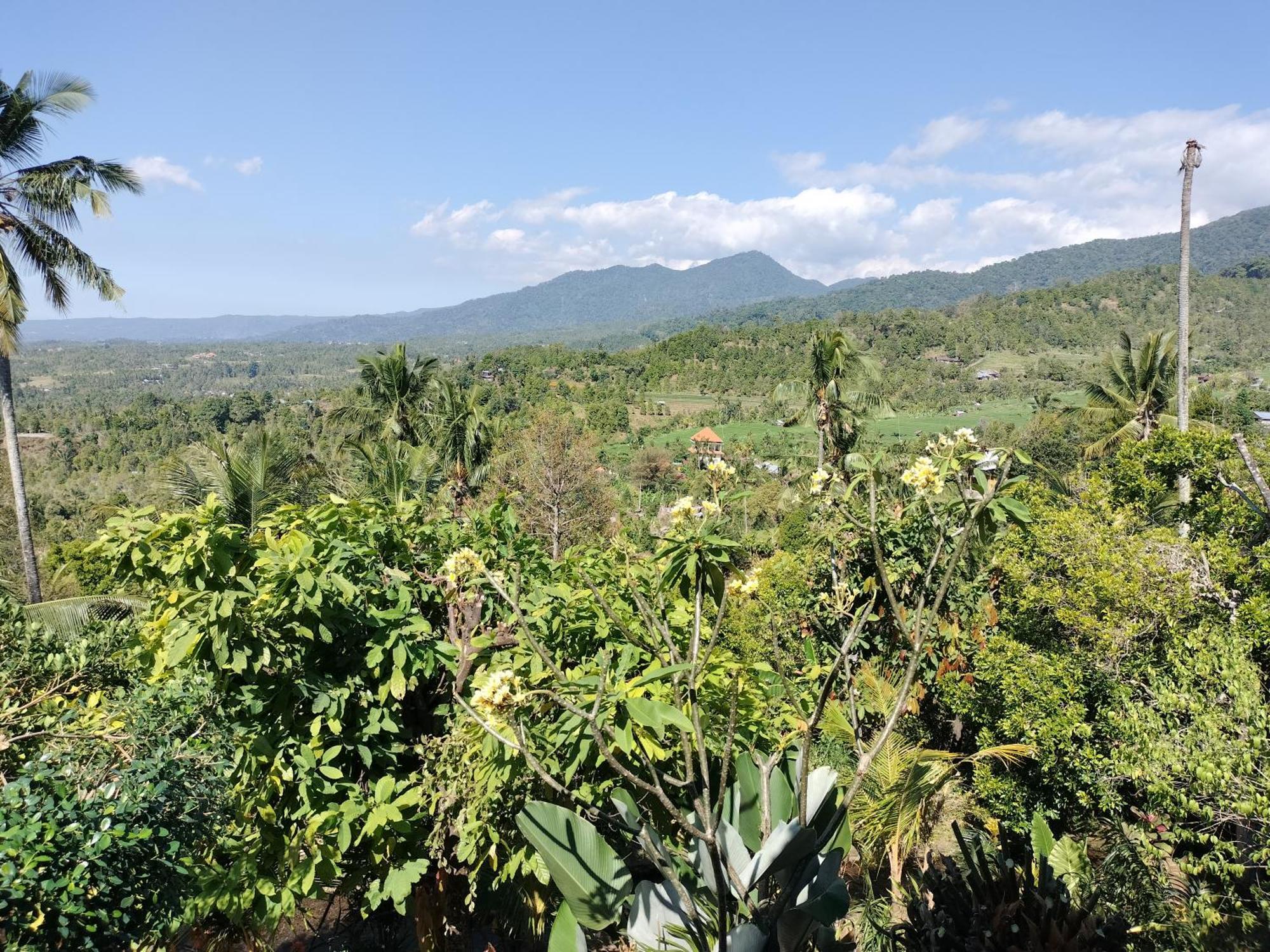 D'Kailash Retreat ซีงาราจา ภายนอก รูปภาพ